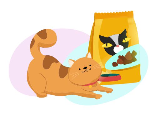 Alimenti secchi per gatti