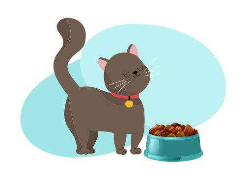 Alimenti umidi per gatti