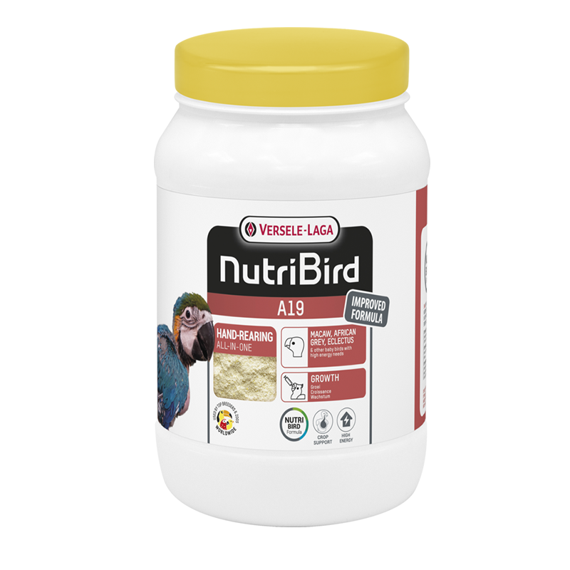 NutriBird A19 800 g Pappa da imbecco  ara cenerini ed ecletto Versele-Laga