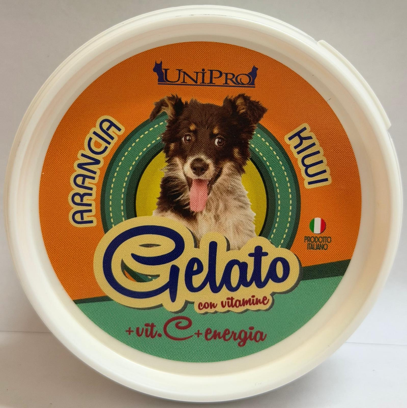 Snack per Cani Gelato Arancia e Kiwi 60g prodotto italiano Unipro