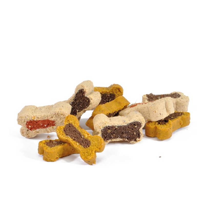 Snack per Cani Mini Snacks Mix ossicini con Salmone 500g Camon AE057